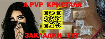 стафф Бийск
