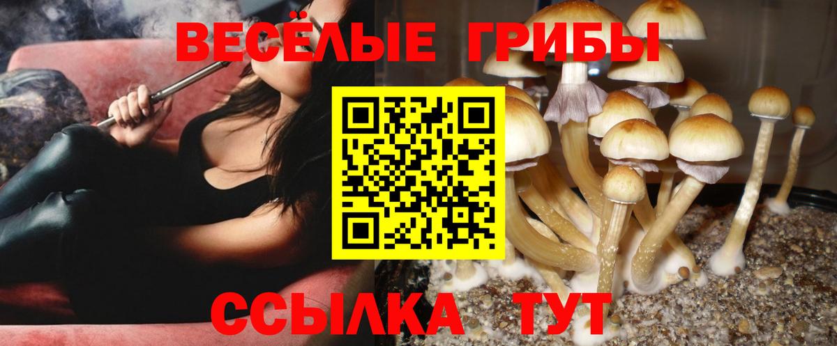 Галлюциногенные грибы мицелий  Вход с VPN  Зеленокумск 